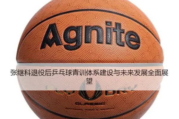 张继科退役后乒乓球青训体系建设与未来发展全面展望